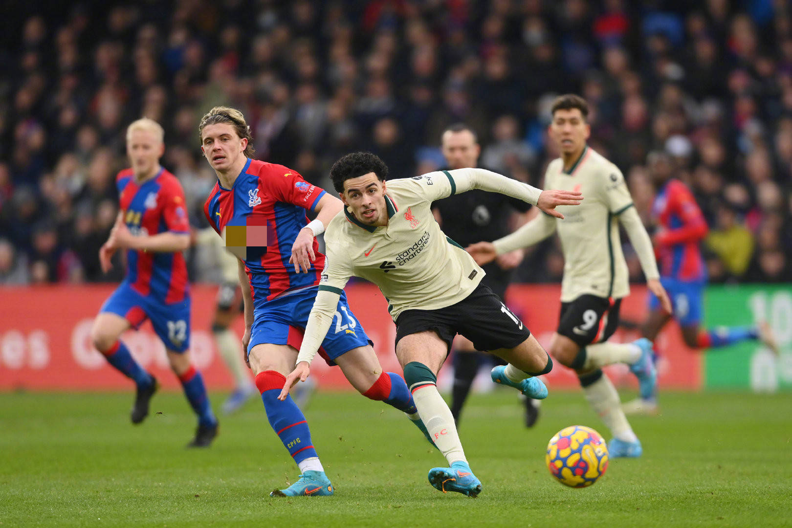 加利亚尼在 加利亚尼在